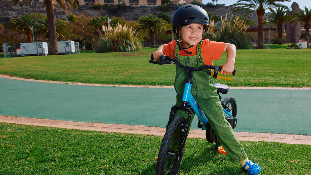 LOS PEQUEÑOS DE LA CASA EN 2 RUEDAS