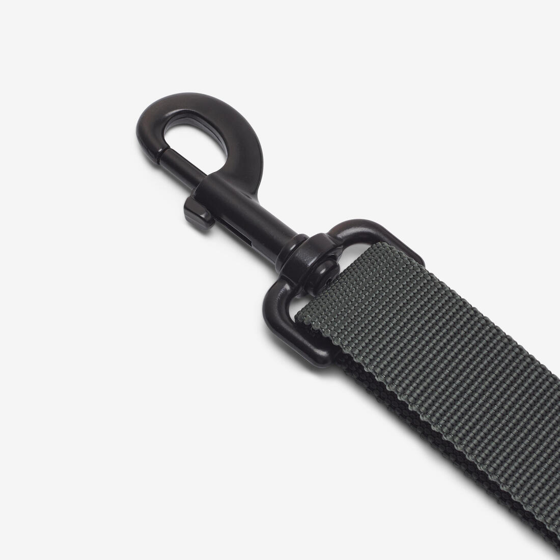 IMG_8807997_2