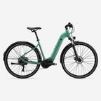 VERDE LAUREL
