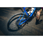 Product thumbnail 11 of 13