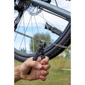 IMG_8938264_7