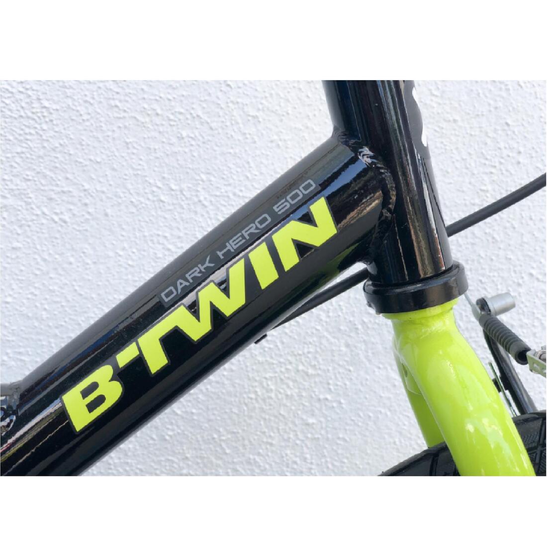 IMG_8391522_4
