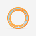 calabaza pastel  fosforescente