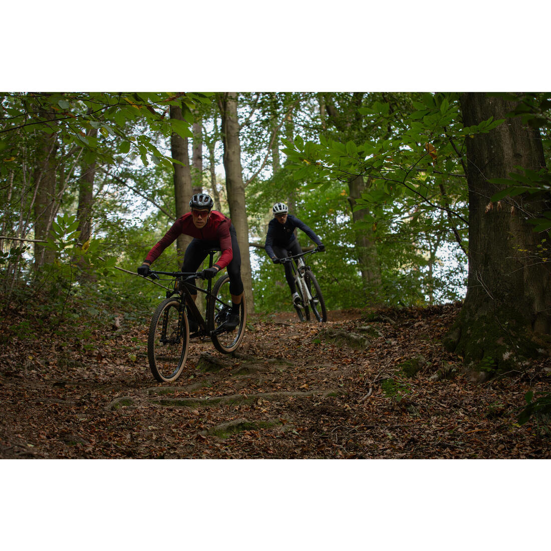 IMG_2611095