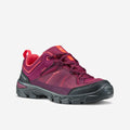 IMG_2579103