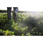 Product thumbnail 6 of 6