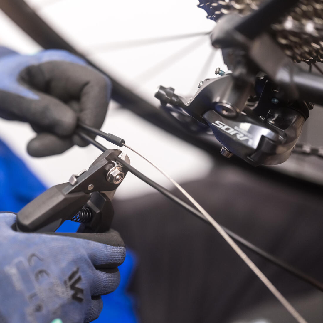 IMG_1005950331_1