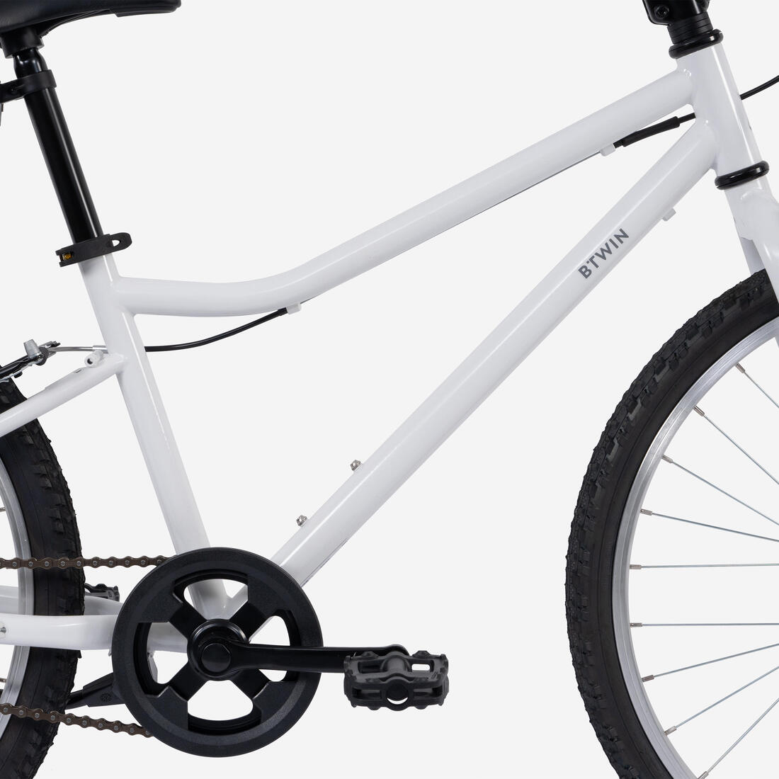IMG_3100631