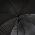 IMG_8654661_7