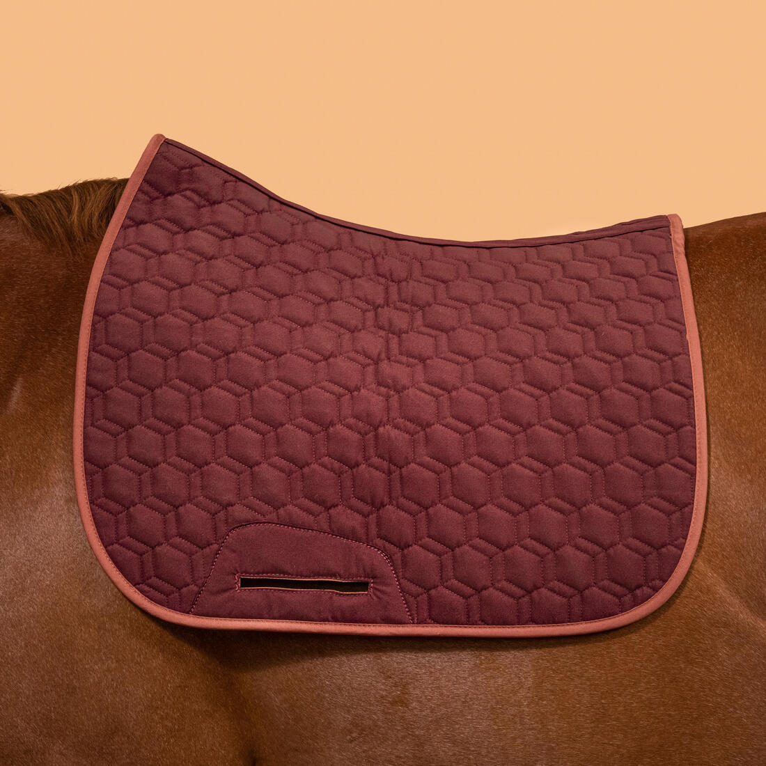 IMG_2382027