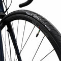 IMG_8542655_8