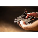 Product thumbnail 2 of 3