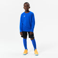 IMG_2966295