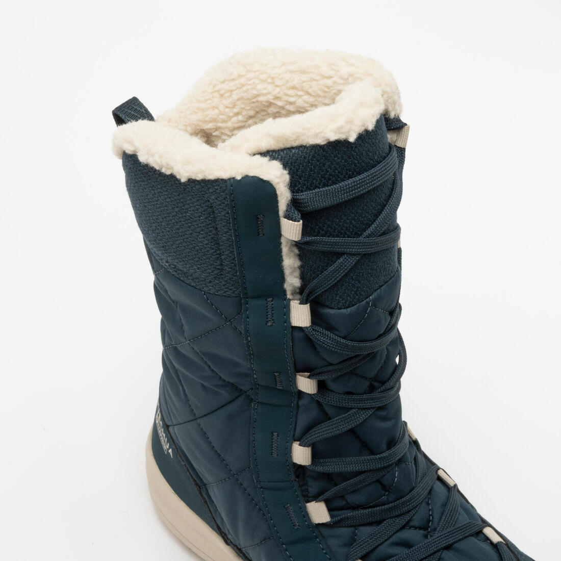 IMG_2904951