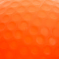 IMG_8363183_5