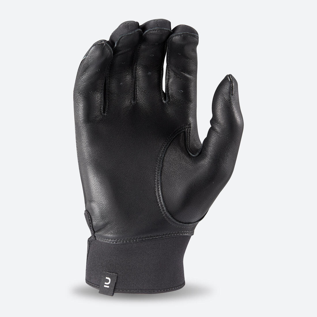 IMG_8653596_2