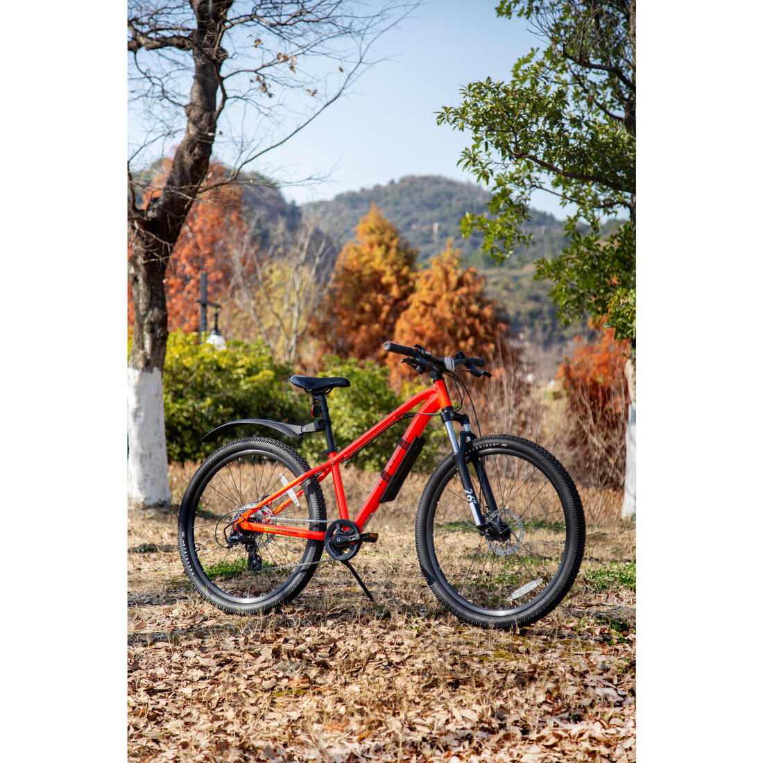 IMG_8615206_7