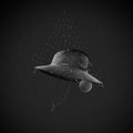 IMG_8526272_2