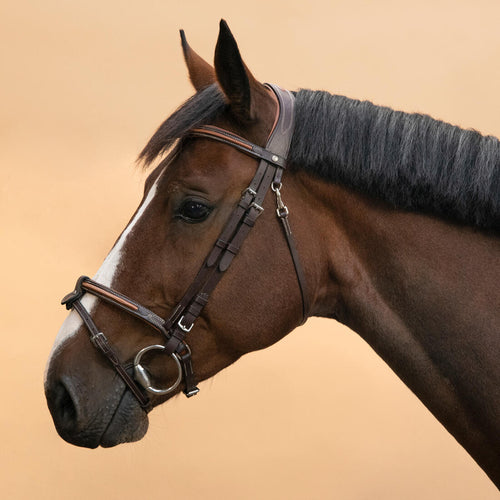 





Serratón de equitación de piel café para caballo/poni 580