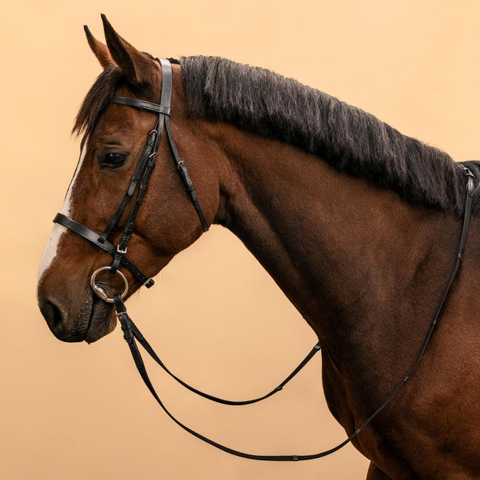





Serratón y riendas de equitación de piel negra para caballo/poni 100, photo 1 of 21