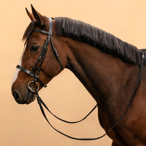 





Serratón y riendas de equitación de piel negra para caballo/poni 100