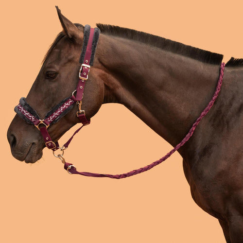 





Kit de equitación con cabestro y ronzal terracota azul o negro Confort